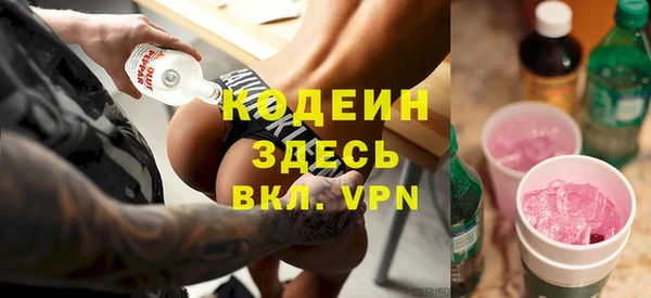прущие грибы Вязники