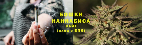 гашик Вяземский