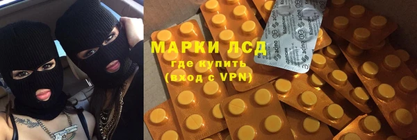 гашик Вяземский