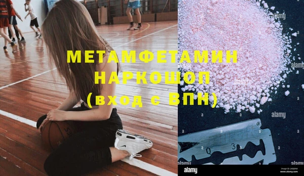 гашик Вяземский