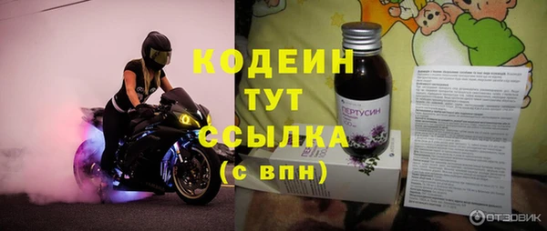 гашик Вяземский