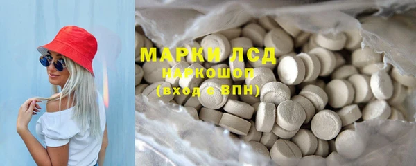 гашик Вяземский