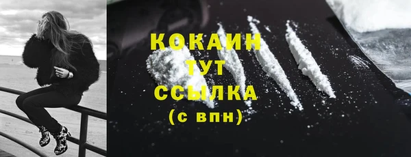 гашик Вяземский