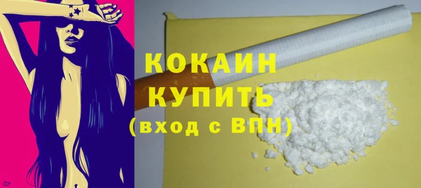 прущие грибы Вязники