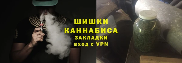 прущие грибы Вязники