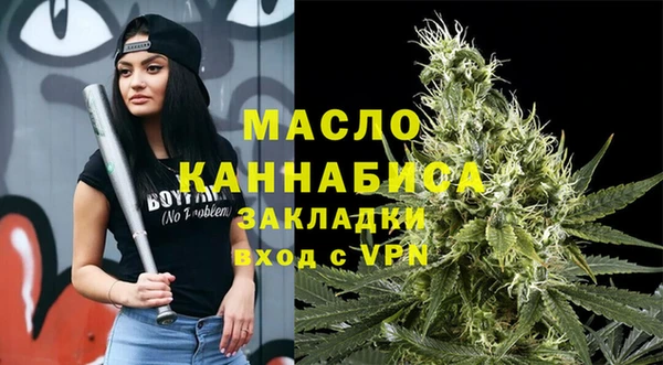 гашик Вяземский