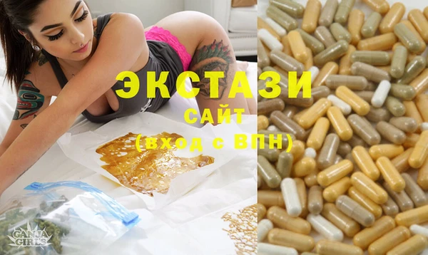 гашик Вяземский