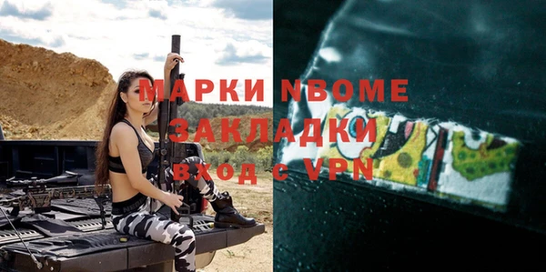 прущие грибы Вязники