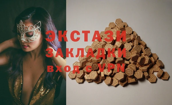 гашик Вяземский
