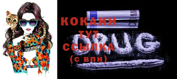 гашик Вяземский