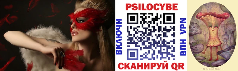 Галлюциногенные грибы мицелий  купить наркоту  ОМГ ОМГ как войти  Сердобск 